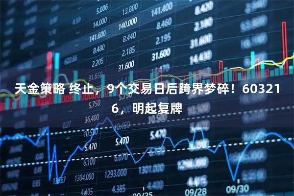 天金策略 终止，9个交易日后跨界梦碎！603216，明起复牌